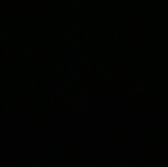 Meet your Posher, Eleanor - Picture 1 of 1